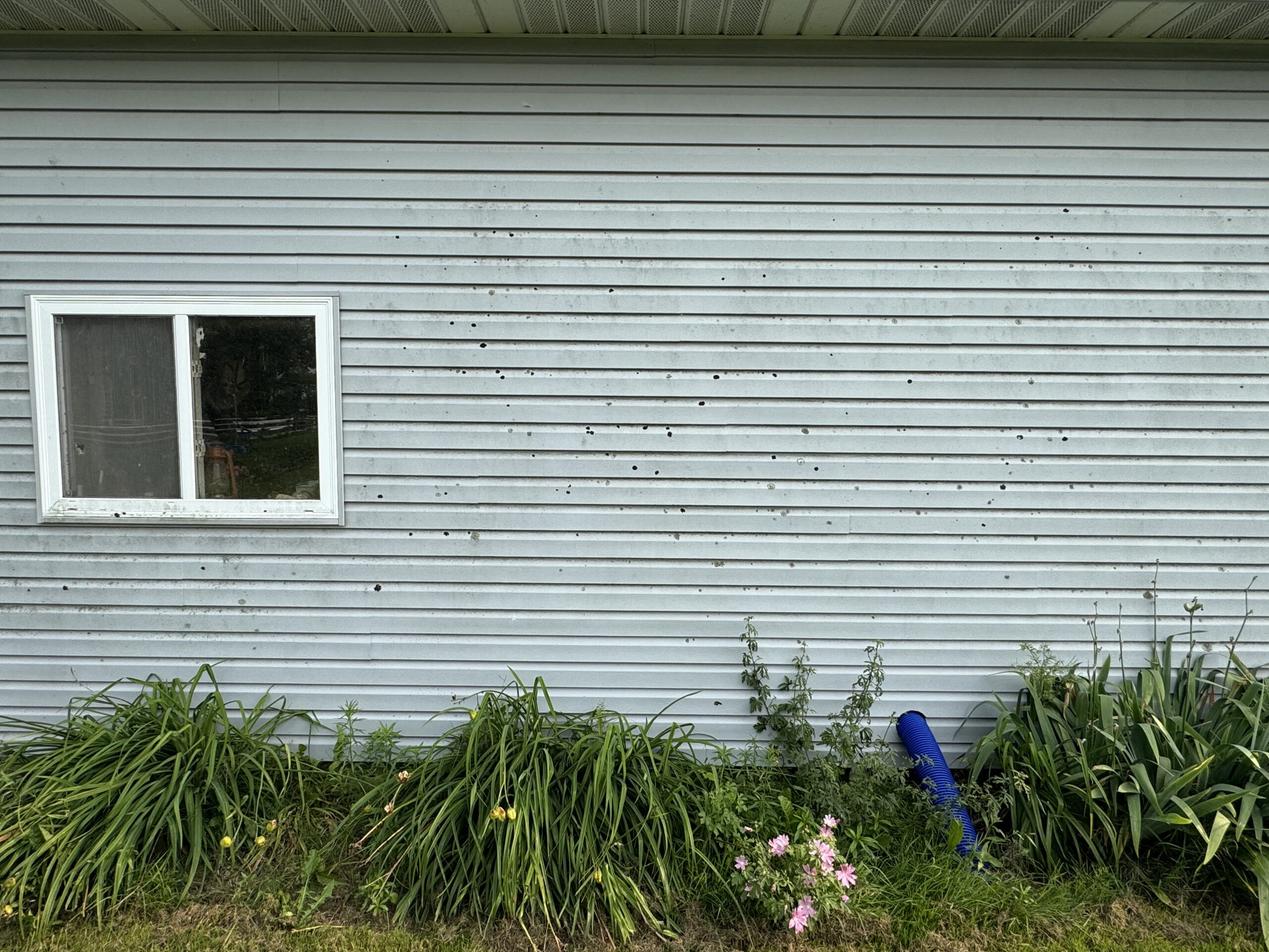 Spotless residential home after professional pressure washing